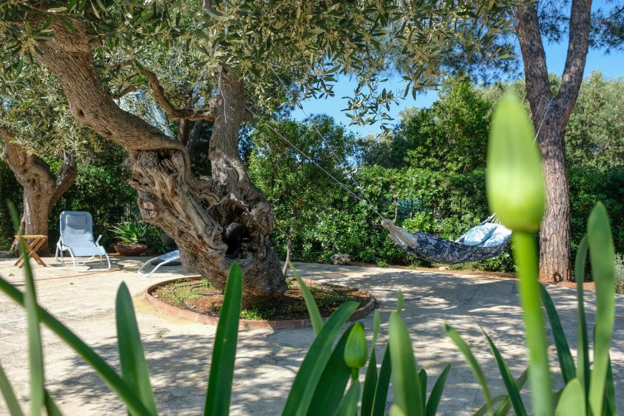 Pugliamandia Villa Monopoli Ngoại thất bức ảnh